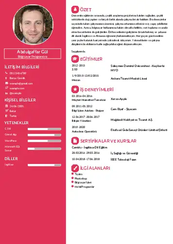 Bilgisayar Programcısı CV Örnekleri cv indir